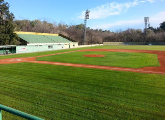 Mirá todos los resultados de la última fecha