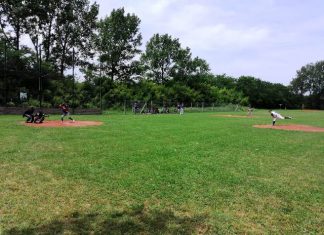 Todos los resultados de #LaMetro