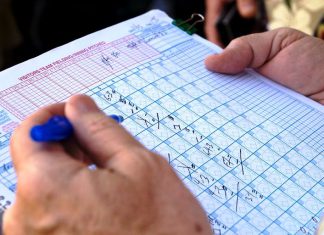 Todo sobre las estadísticas de la Liga Metropolitana de Béisbol